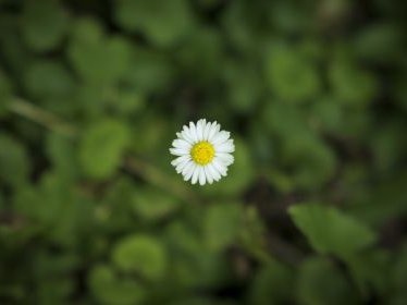 szl_180718-6836.jpg