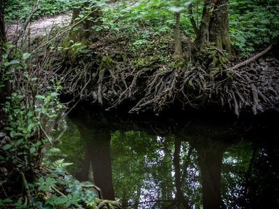 testverek_fotó_Nagy Károly Zsolt