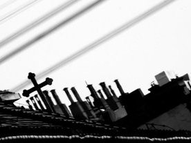 teto.jpg.310x207_q85_crop-center.jpg