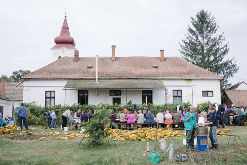 kép