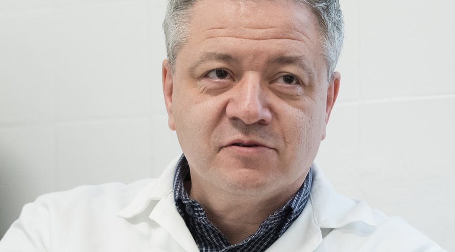 Tolnay Lajos
